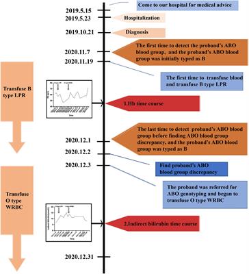 B-Cell Lymphoma Producing IgM Anti-B Antibody: A Case Report